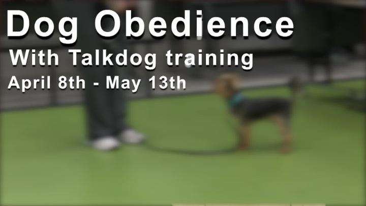 Thumbnail image for Rec and Ed Spring Program Preview